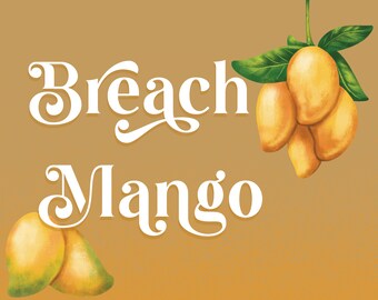 Breich Mango Schrift - Retro-Schrift, lockige Schrift, Schriften für Cricut, Boho-Schrift, Procreate-Schrift, Cricut-Schrift, Kalligraphie-Schrift, Schriften, Schrift