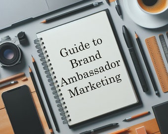 Guide to Brand Ambassador Marketing, Brand Ambassador Program
