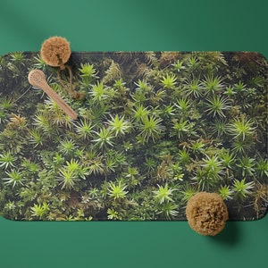 Lush Forest Moss Bath Mat Vibrant Green Nature Design Soft Plush Bathroom Rug Eco-Inspired Home Decor Non-Slip Bathroom Floor Mat