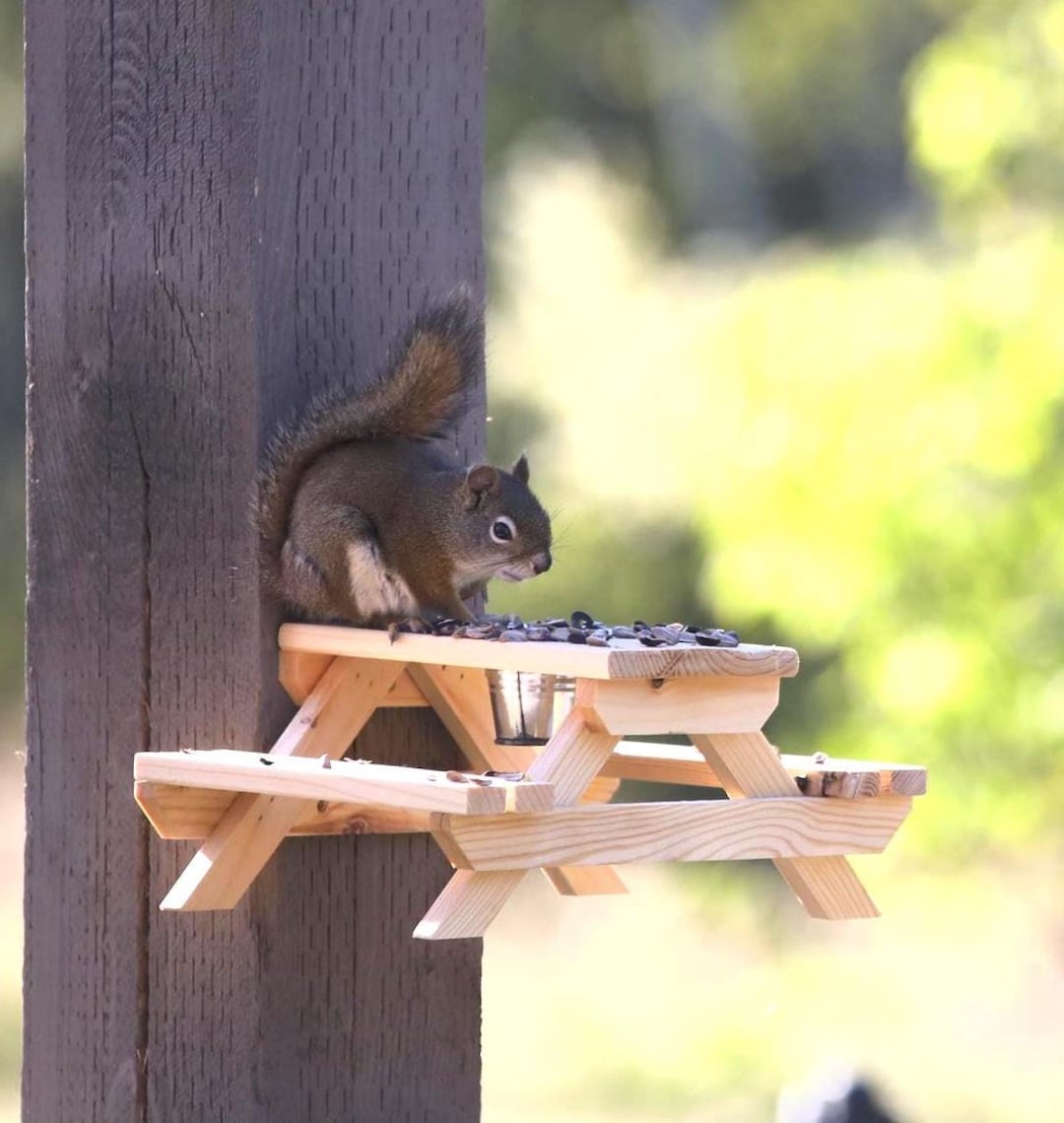 Handmade Wood Squirrel Picnic Table Squirrel Feeder Picnic Table Animal ...