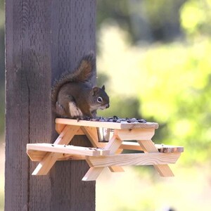 Può includere: Un piccolo tavolo da picnic in legno con uno scoiattolo seduto in cima. Il tavolo è attaccato a un palo di legno e ha una piccola quantità di semi di uccelli sul tavolo.