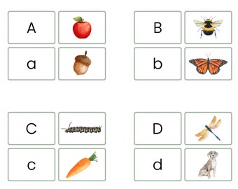 Alphabet Flash Cards