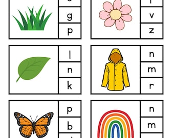 Phonemic Awareness Cards, Speech and Beginning Sounds Activity, Kindergarten ELA Learning Center