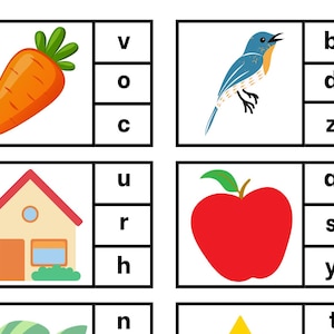 Op de afbeelding: Een werkblad met vier afbeeldingen en bijpassende letters. De afbeeldingen zijn een wortel, een huis, een appel en een vogel. De letters zijn v, o, c, u, r, h, a, s, y, n, t, b, d, en z.