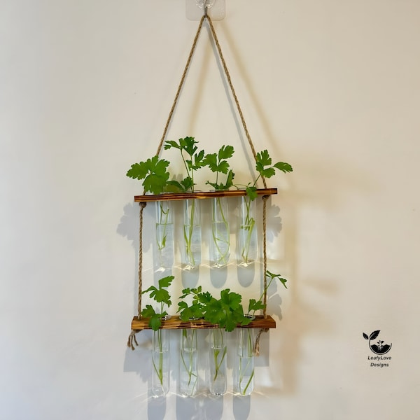 Testtube Vases Hanging Hydroponic System, Test Tube Propagate Plant Clipping Pothos Wall Propagation System