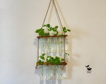 Testtube Vases Hanging Hydroponic System, Test Tube Propagate Plant Clipping Pothos Wall Propagation System