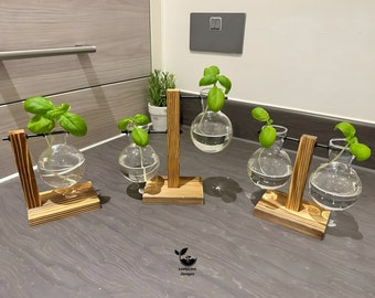 Hydrokultur Pflanzentopf - Pflanzenvermehrungsstation Hydroponische Gartenarbeit Zimmerpflanzenstecklinge Vase Holzgestell Glas Glas Schreibtisch Pflanzenvase