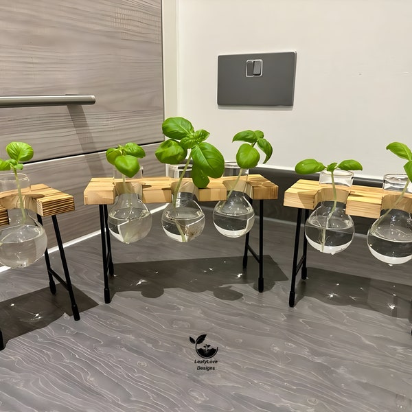 Hydroponic Gardening - Plant Propagation Station Glass Desk Plant Indoor Hydroponic Plant Pot Wooden Frame Plant Cuttings Glass Vase
