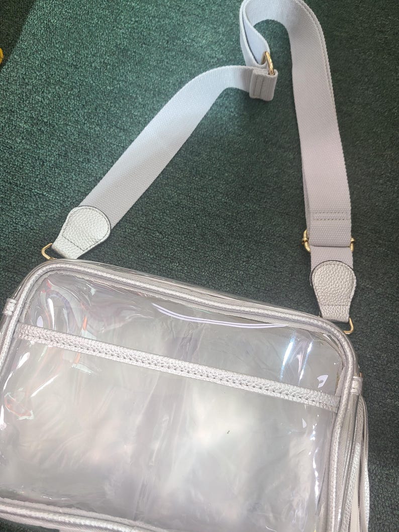Puede incluir: Un bolso cruzado transparente y rectangular con ribete plateado y una correa ajustable gris claro. El bolso tiene cierre de cremallera y herrajes dorados. La correa es de material tejido.