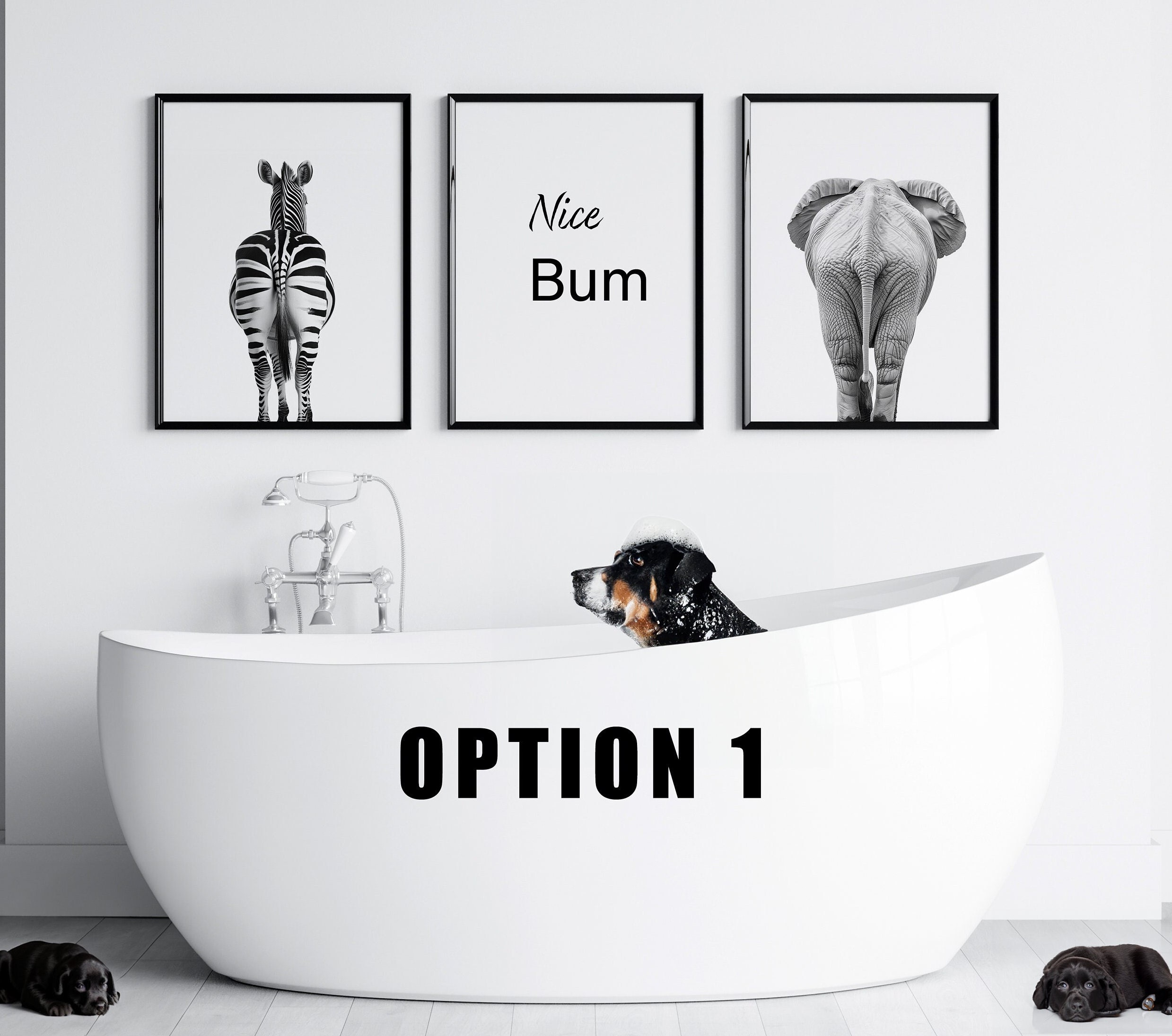 Nice Bum Zebra Elephant Funny Wall Art, Set of 3 Digital Files, Funny ...
