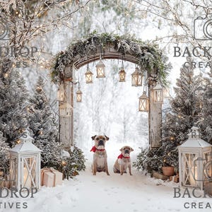 May include: A snowy winter scene with two dogs wearing red bandanas, positioned before a snow-covered archway decorated with hanging lanterns. The scene is framed by snow-covered trees and fairy lights, creating a festive backdrop.