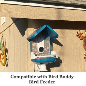 Wall or Tree Mount Designed for the Bird Buddy! Extra Strong (Upgrade Model)