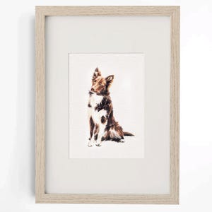 May include: A framed watercolor painting of a Border Collie dog. The dog is depicted in shades of brown and white, sitting upright with its head turned slightly. The artwork is set against a white background within a light-colored wooden frame.