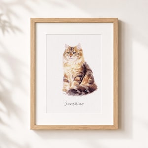 Puede incluir: Una l&aacute;mina de acuarela enmarcada que muestra a un gato atigrado de color marr&oacute;n y bronceado con pelaje esponjoso sentado erguido. El gato tiene pelo largo, orejas puntiagudas y una mirada enfocada. Debajo, la palabra Sunshine est&aacute; escrita en negro.