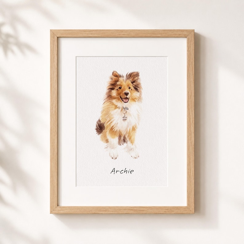Puede incluir: Una ilustraci&oacute;n en acuarela enmarcada de un perro pastor de Shetland de color canela y blanco con collar y placa, con el nombre Archie impreso en texto negro debajo del perro, todo dentro de un marco de madera clara con un borde de paspart&uacute; blanco.