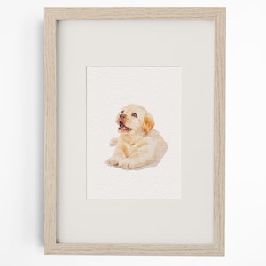 May include: A framed watercolour painting of a light golden Labrador puppy lying down and looking upwards. The artwork is enclosed in a light-toned wooden frame with a white mount, showcasing the puppy's soft fur, dark eyes, and small nose.