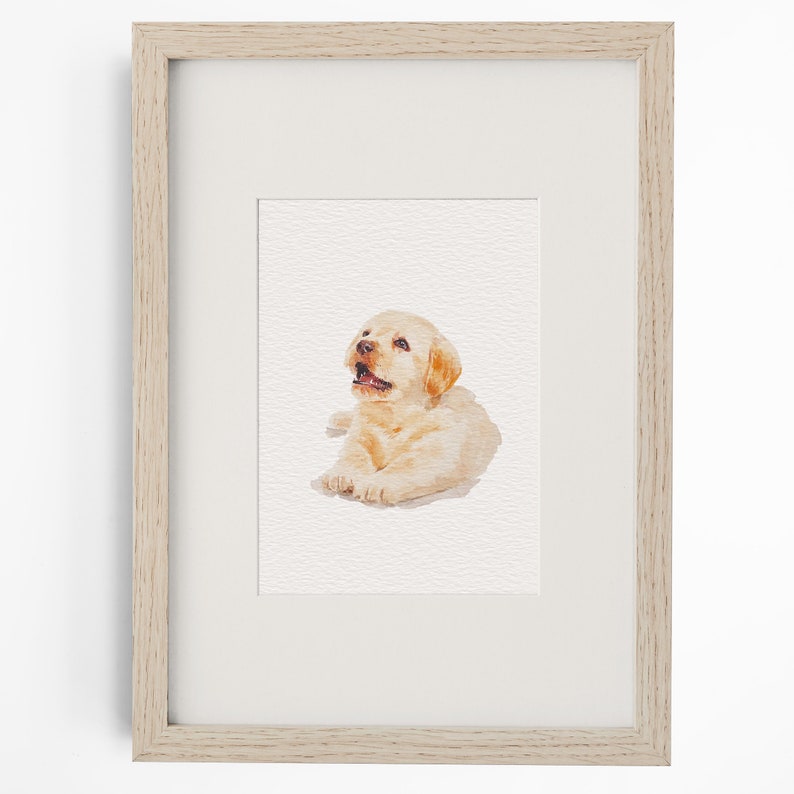 May include: A framed watercolour painting of a light golden Labrador puppy lying down and looking upwards. The artwork is enclosed in a light-toned wooden frame with a white mount, showcasing the puppy's soft fur, dark eyes, and small nose.