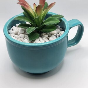 May include: A teal ceramic mug with a handle, filled with white rocks and a small green succulent plant with red tips.