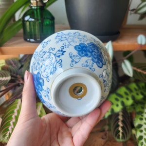 Blue Ivy Planter
