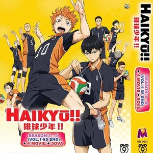 Haikyuu!! Haikyu!! Complete Season 1-4 (4 Movies & 5 OVA) Boxset Anime DVD