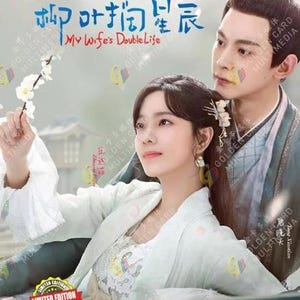 DVD Chinese Drama My Wife's Double Life 柳叶摘星辰 (1-24 End) English Subtitle, All Region