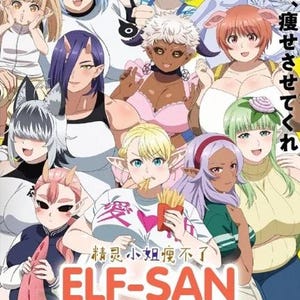 DVD Anime Plus-Sized Elf Complete Series (1-14 End) English Subtitle, All Region