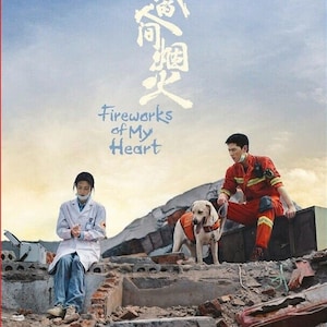 DVD Chinese Drama 我的人间烟火 Fireworks of My Heart (1-40
