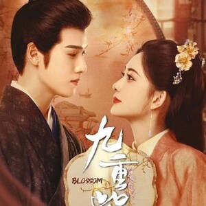 DVD Chinese Drama Series Blossom 九重紫 (1-34 End) English Subtitle, All Region
