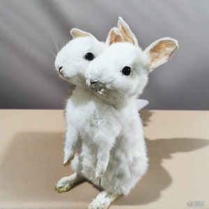 Thriller Two-Headed Rabbit Handmade Taxidermy Collection Science Education Home Decor Gift Ornaments