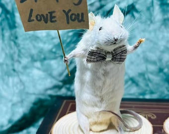 May include: A taxidermy white mouse standing upright on a circular wooden slice base. The mouse wears a black and white plaid bow tie and holds a small brown sign on a thin stick with the handwritten black text, I Fucking Love You.