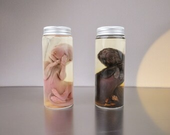 Fox Specimen In Liquid,Baby Fox Wet Specimens,Taxidermy Fox,In Glass Bottles,Cabinet of Curiosities,Unique Gift,Surprise Birthday Gift