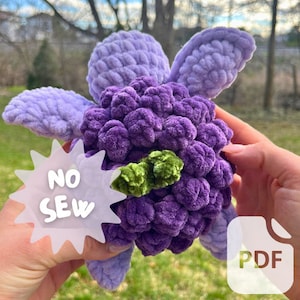 May include: Purple and green crocheted plush toy with the text "NO SEW" on a white starburst. The toy is being held by a person's hands. A white PDF icon is in the lower right corner of the image.
