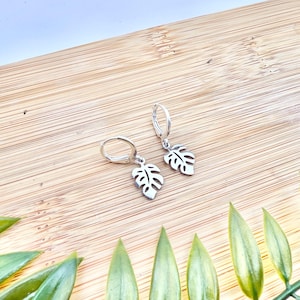 Peut inclure: Une paire de boucles d'oreilles créoles argentées avec des breloques en forme de feuilles. Les boucles d'oreilles sont présentées sur une surface en bois brun clair, avec des feuilles vertes au premier plan. Les breloques en forme de feuilles ont des détails découpés.