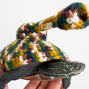 Könnte beinhalten: Eine kleine Schildkröte trägt einen bunten Häkelhut und einen Pullover. Der Hut hat eine lange, spitze Spitze und der Pullover ist eine Mischung aus Grün, Braun, Weiß und Gelb.