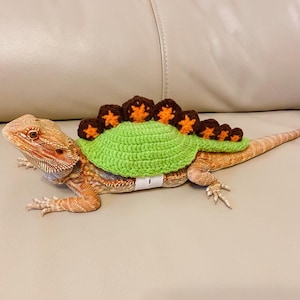 May include: A brown and orange lizard wearing a green crocheted dinosaur costume with brown spikes.