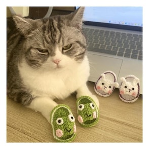 Adorables chaussons pour chats au crochet, styles de dessins animés amusants pour chiens, chaussures d'intérieur en fil fait main pour animaux de compagnie, accessoires amusants pour animaux de compagnie pour séances photo et cadeaux