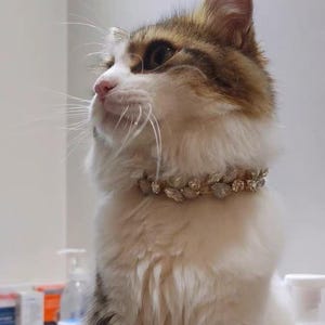 Luxury Rhinestone Pet Collar & Leash Set, Elegant Bling Cat Collar, Small Dog Royal Crystal Necklace, Adjustable Fancy Sparkly Pet Accessory image 9