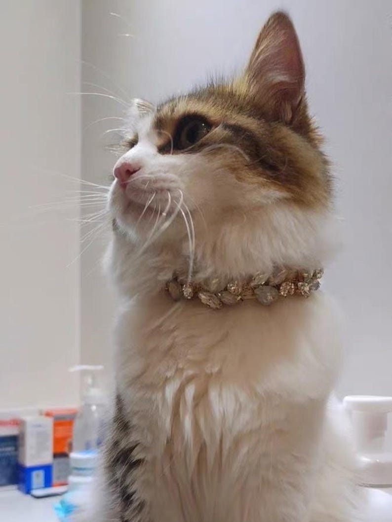 Luxury Rhinestone Pet Collar & Leash Set, Elegant Bling Cat Collar, Small Dog Royal Crystal Necklace, Adjustable Fancy Sparkly Pet Accessory image 9