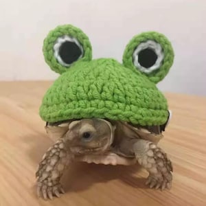 Handcrafted Petwear & Costume Styles for Turtles | Turtle Garments | Tortoise Fashion | Personalized Knit Pet Clothing | Turtles Accessories