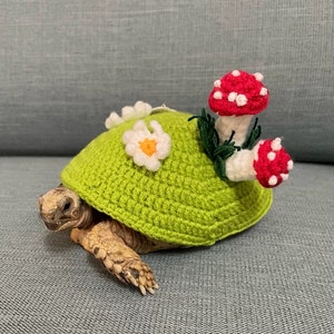 Handcrafted Custom-Knit Clothing and Costume Styles for Turtles/Tortoise, Personalized Turtle Apparel/Sweaters | Tortoise Fashion