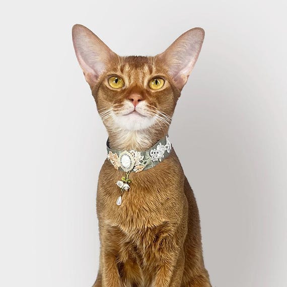 Victorian Green Pet Decorative Collar, Lily of the Valley Pearl