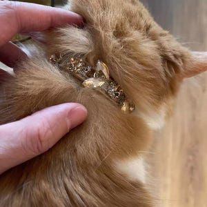 Luxury Rhinestone Pet Collar & Leash Set, Elegant Bling Cat Collar, Small Dog Royal Crystal Necklace, Adjustable Fancy Sparkly Pet Accessory image 10