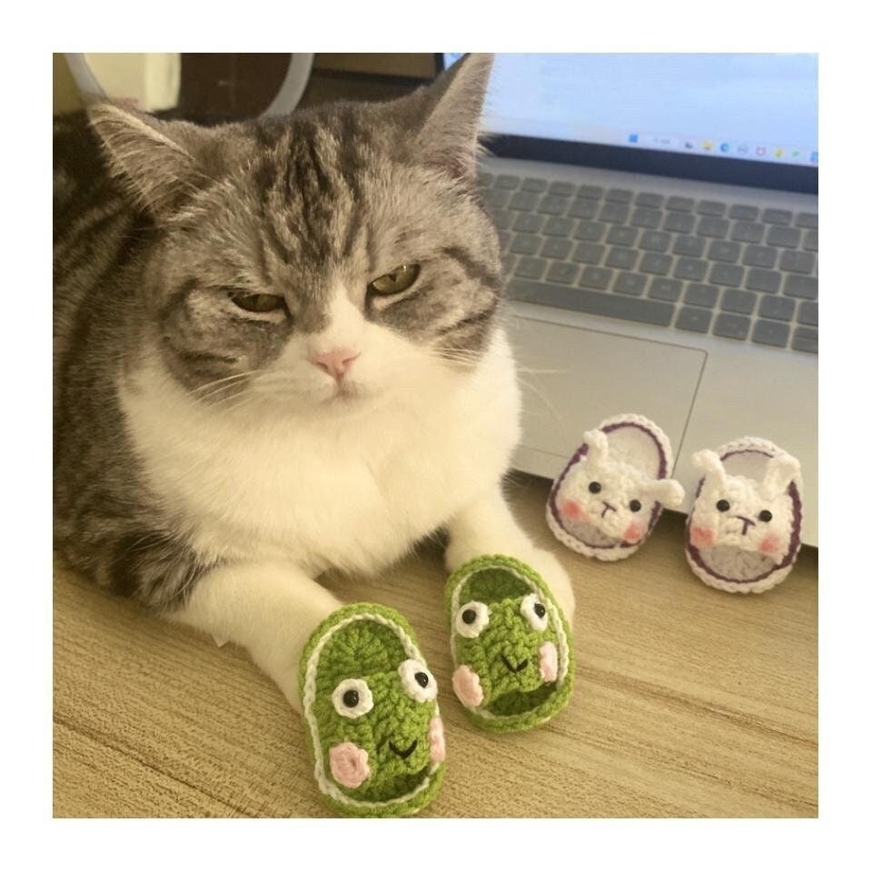 Adorable Crochet Cat Slippers, Fun Cartoon Styles for Dogs, Handmade Yarn Indoor Pet Shoes, Funny Pet Props for Photoshoots & Gifting