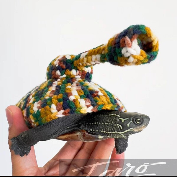 Clothing for Tortoises Etsy