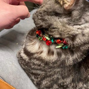 May include: A gray tabby cat wearing a festive red and green jeweled collar with a gold clasp.
