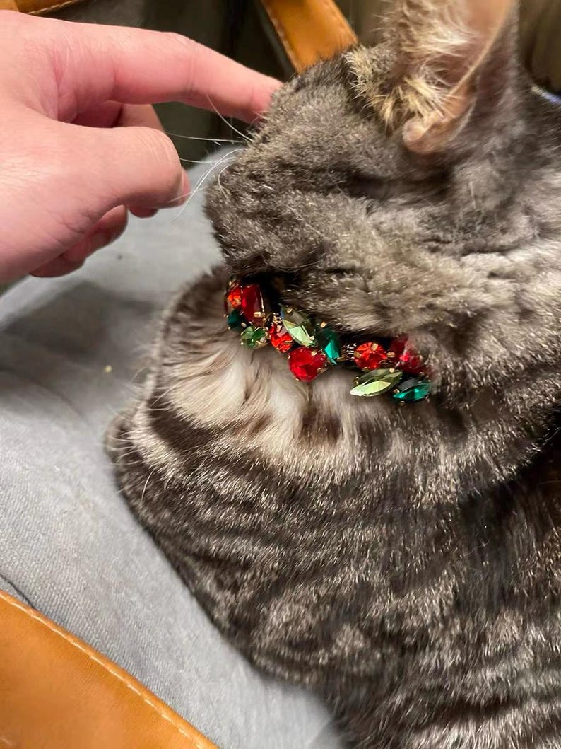 May include: A gray tabby cat wearing a festive red and green jeweled collar with a gold clasp.
