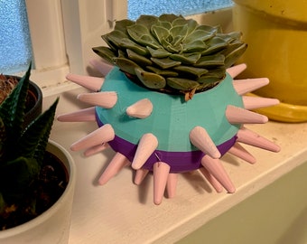 Sea urchin planter/bowl (extra-fancy)