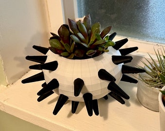 Sea urchin planter/bowl (fancy)