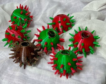 Urchin experiments: ornaments