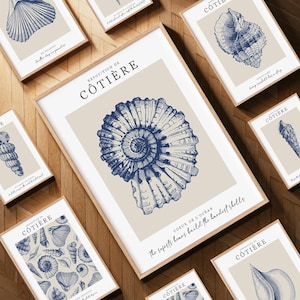 May include: Several framed art prints showcasing detailed blue seashell illustrations on a beige backdrop. The prints are displayed on a wooden surface, with text reading "EXPOSITION DE CÔTIÈRE" and "COEUR DE L'OCEAN".